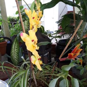 Meet your Posher, Teresa